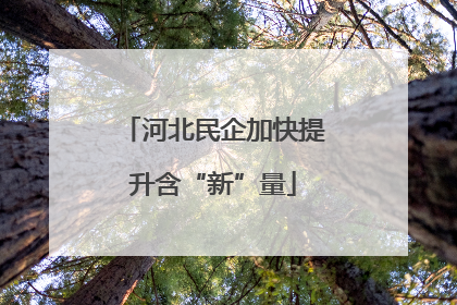 河北民企加快提升含“新”量