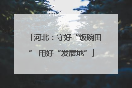 河北：守好“饭碗田” 用好“发展地”