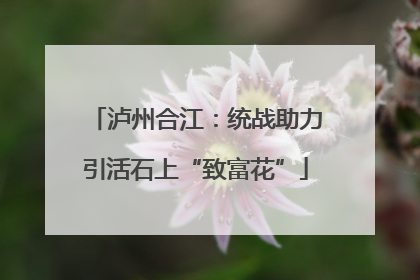 泸州合江：统战助力引活石上“致富花”