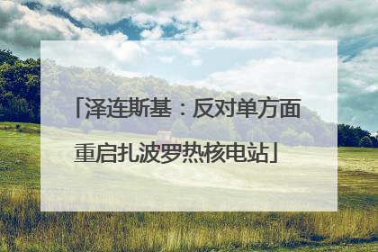 泽连斯基：反对单方面重启扎波罗热核电站
