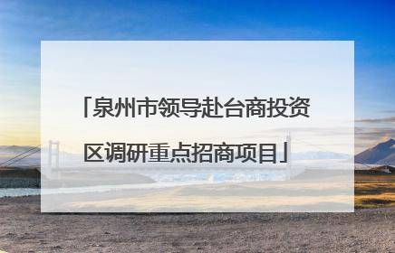 泉州市领导赴台商投资区调研重点招商项目
