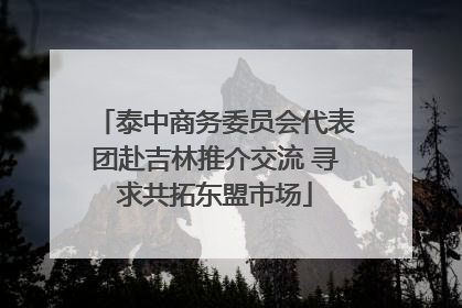 泰中商务委员会代表团赴吉林推介交流 寻求共拓东盟市场