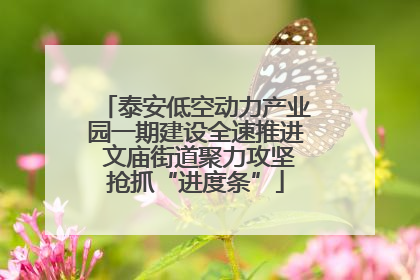 泰安低空动力产业园一期建设全速推进 文庙街道聚力攻坚抢抓“进度条”