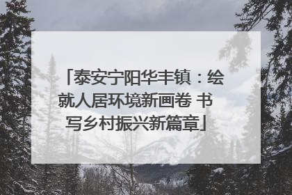 泰安宁阳华丰镇：绘就人居环境新画卷 书写乡村振兴新篇章