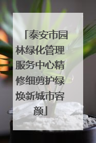 泰安市园林绿化管理服务中心精修细剪护绿焕新城市容颜