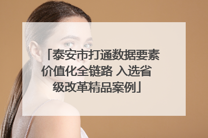 泰安市打通数据要素价值化全链路 入选省级改革精品案例
