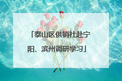 泰山区供销社赴宁阳、滨州调研学习