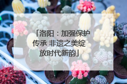 洛阳：加强保护传承 非遗之美绽放时代新韵