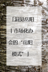 洞见岳阳丨市场化办会的“岳阳模式”