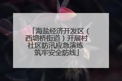海盐经济开发区（西塘桥街道）开展村社区防汛应急演练 筑牢安全防线