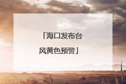 海口发布台风黄色预警