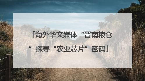 海外华文媒体“晋南粮仓”探寻“农业芯片”密码