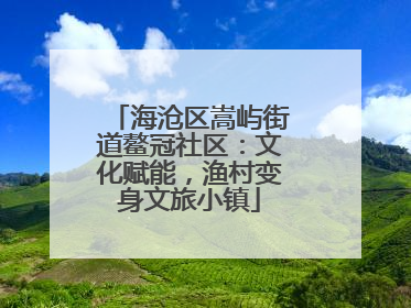 海沧区嵩屿街道鳌冠社区：文化赋能，渔村变身文旅小镇