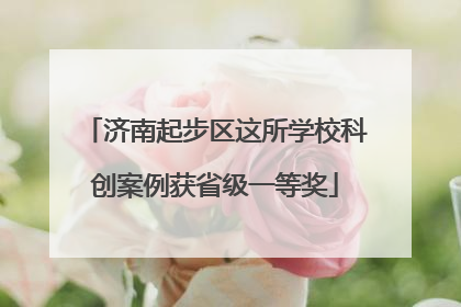 济南起步区这所学校科创案例获省级一等奖