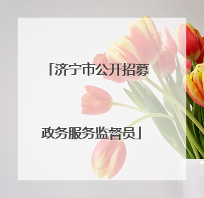 济宁市公开招募政务服务监督员