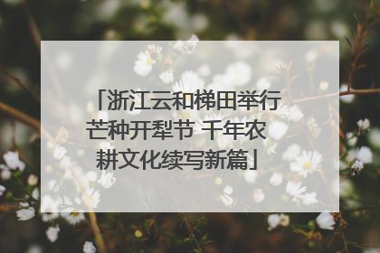 浙江云和梯田举行芒种开犁节 千年农耕文化续写新篇
