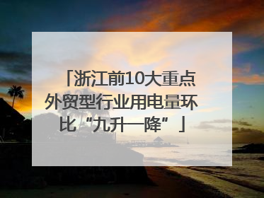 浙江前10大重点外贸型行业用电量环比“九升一降”