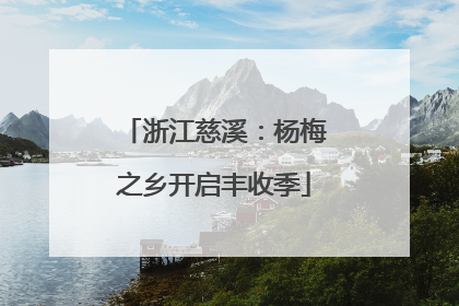 浙江慈溪：杨梅之乡开启丰收季