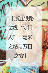 浙江铁路货线“守门人”：毫米之精与万日之安