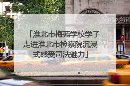 淮北市梅苑学校学子走进淮北市检察院沉浸式感受司法魅力