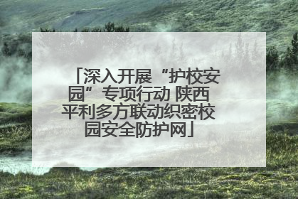 深入开展“护校安园”专项行动 陕西平利多方联动织密校园安全防护网