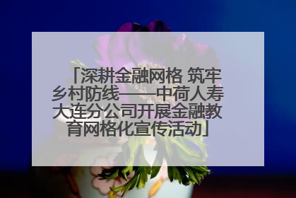 深耕金融网格 筑牢乡村防线——中荷人寿大连分公司开展金融教育网格化宣传活动