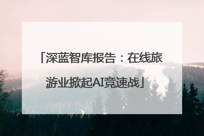 深蓝智库报告：在线旅游业掀起AI竞速战