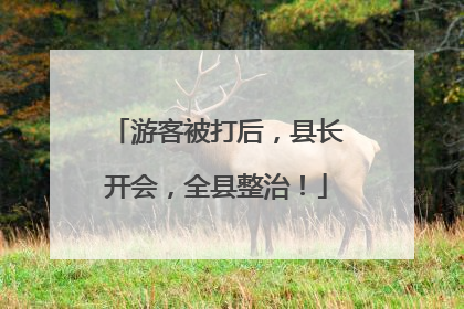 游客被打后，县长开会，全县整治！