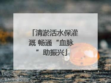 清淤活水保灌溉 畅通“血脉”助振兴