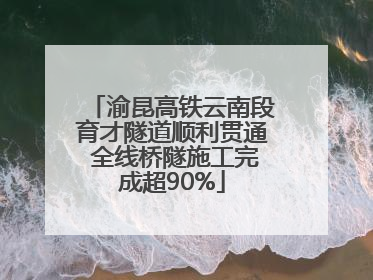 渝昆高铁云南段育才隧道顺利贯通 全线桥隧施工完成超90%
