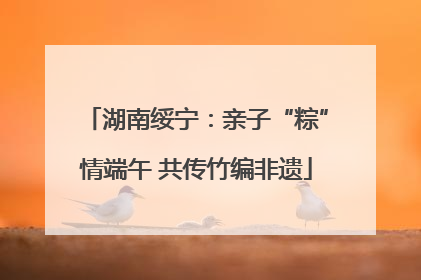 湖南绥宁：亲子“粽”情端午 共传竹编非遗
