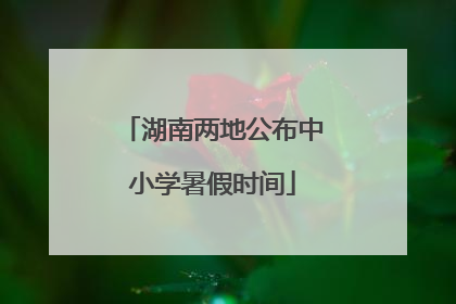 湖南两地公布中小学暑假时间