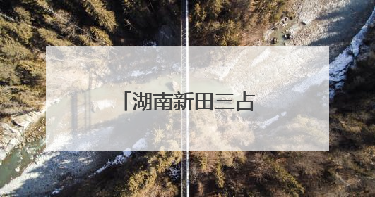 湖南新田三占塘村金银花产业兴旺促振兴