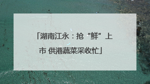 湖南江永：抢“鲜”上市 供港蔬菜采收忙