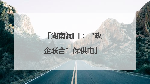 湖南洞口：“政企联合”保供电