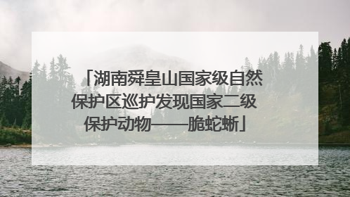湖南舜皇山国家级自然保护区巡护发现国家二级保护动物——脆蛇蜥