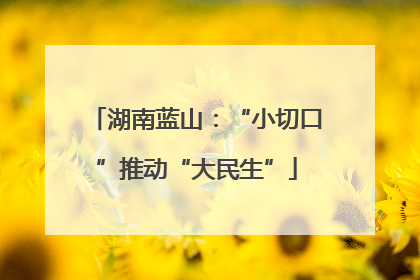 湖南蓝山：“小切口”推动“大民生”