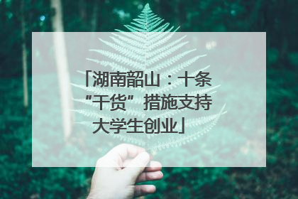 湖南韶山：十条“干货”措施支持大学生创业