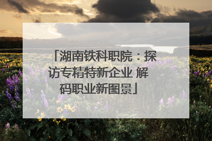 湖南铁科职院：探访专精特新企业 解码职业新图景