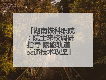 湖南铁科职院：院士来校调研指导 赋能轨道交通技术攻坚