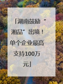 湖南鼓励“湘品”出境！单个企业最高支持100万元