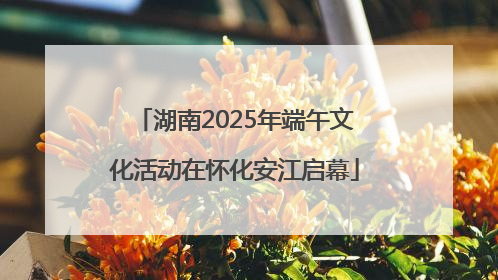 湖南2025年端午文化活动在怀化安江启幕