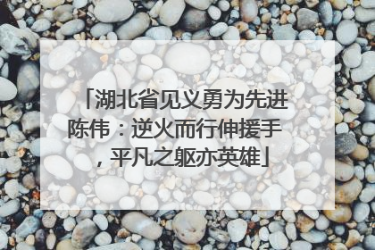 湖北省见义勇为先进陈伟：逆火而行伸援手，平凡之躯亦英雄