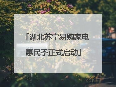 湖北苏宁易购家电惠民季正式启动