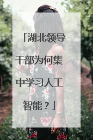 湖北领导干部为何集中学习人工智能？