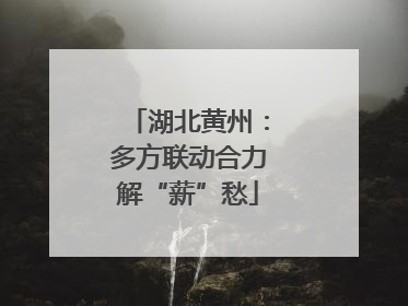 湖北黄州：多方联动合力解“薪”愁