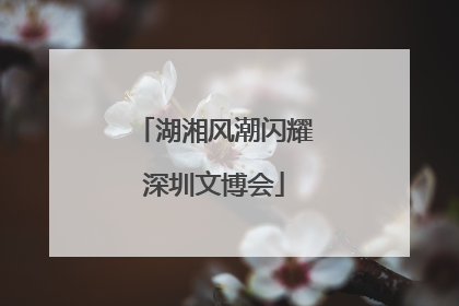 湖湘风潮闪耀深圳文博会