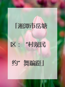 湘潭市岳塘区：“村规民约”舞蹁跹