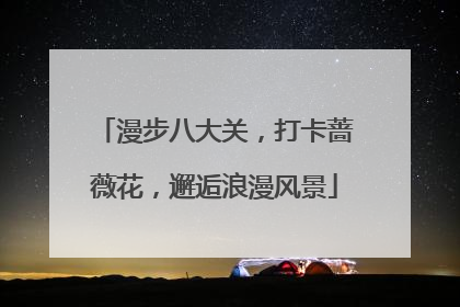 漫步八大关，打卡蔷薇花，邂逅浪漫风景