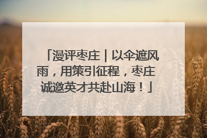 漫评枣庄｜以伞遮风雨，用策引征程，枣庄诚邀英才共赴山海！
